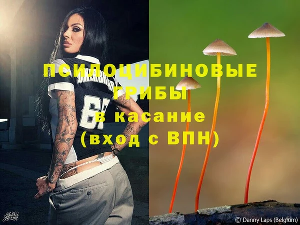 тгк Вяземский