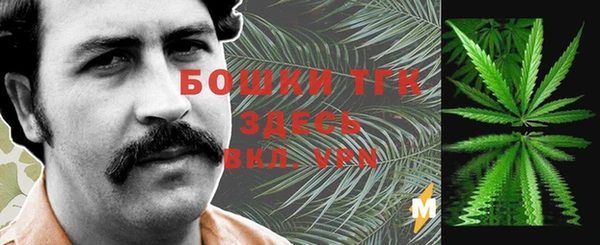 тгк Вяземский