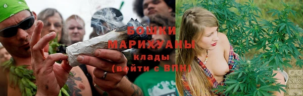 мдпв Волосово